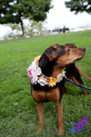Pawtimore Shoot 8-2-14