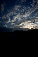 Scenery