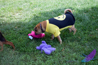 Pawtimore Shoot 8-2-14