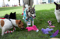 Pawtimore Shoot 8-2-14