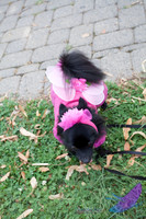 Pawtimore Shoot 8-2-14