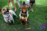 Pawtimore Shoot 8-2-14