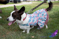 Pawtimore Shoot 8-2-14