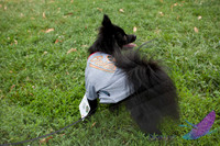 Pawtimore Shoot 8-2-14