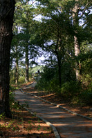 Scenery