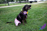 Pawtimore Shoot 8-2-14