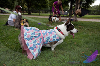 Pawtimore Shoot 8-2-14