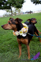 Pawtimore Shoot 8-2-14